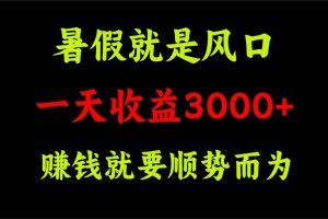 一天收益3000+ 赚钱就是顺势而为，暑假就是风口